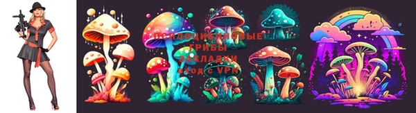 мескалин Абаза