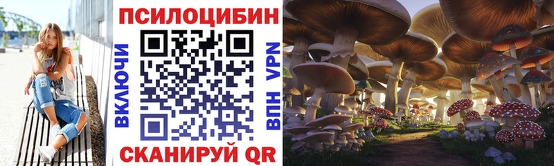 KRAKEN ссылка  Новопавловск  Галлюциногенные грибы прущие грибы 